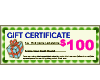 Gift Voucher $100