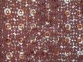 Brown kurta pajama for kids /w embroidery (KP29507)