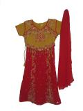 Tell me more about Exquisite red & gold lehenga choli for girls (LC3007)