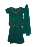 Tell me more about Green georgette lehenga choli with bead work (LC3210)
