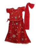 Tell me more about Bright Red Net Lehenga Choli for Toddlers and Teenagers (LC3506)