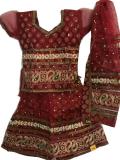Tell me more about Maroon Gold Net Georgette Embellished Lehenga Choli (LC45004)