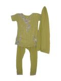 Lime green chudidar w/ embroidery & stone work (SS2702)