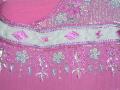 Summery sleeveless pink salwar suit with dupatta (SS2803)