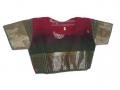 Readymade Indian saree for girls in green & wine red (SR21002)