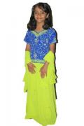 Indian blue & green lehenga choli /w stone & zari work (LC2616)