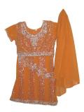 Tell me more about Orange georgette lehenga choli /w heavy work (LC3801)