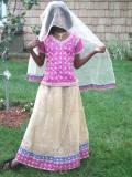 Stunning pink bridal lehenga choli for girls (LC4001) Stunning pink bridal lehenga choli for girls (LC4001)