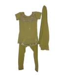 Tell me more about Lime-green churidar kurta for kids with zari work (SS2503)